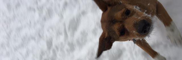 MariaRollinsCPA's profile banner image