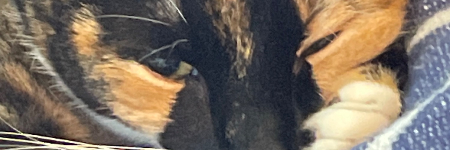 mxco1984's profile banner image