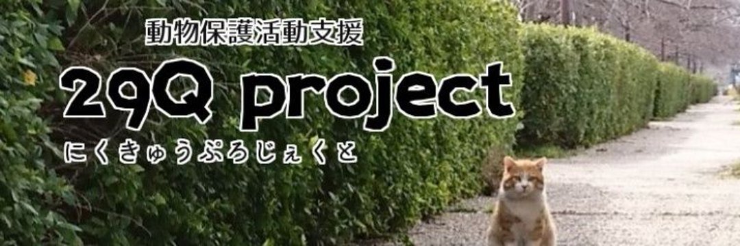 TawashiProject's profile banner image