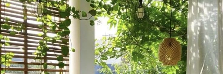 hhhsnl's profile banner image