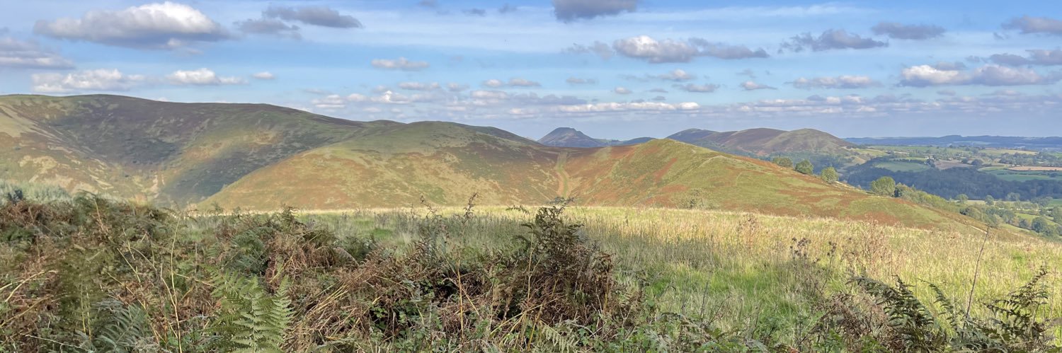 Ania O'Riordan banner