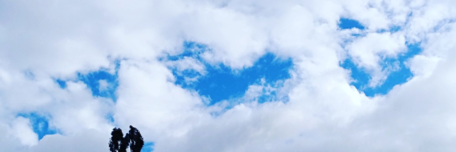 AngeLove_ly's profile banner image