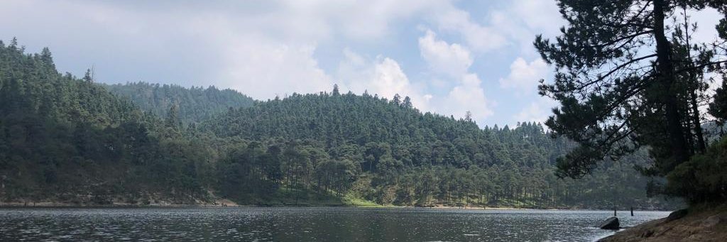 fmiguelsanchez's profile banner image