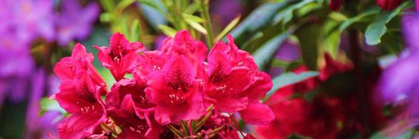 MissKBH90 Profile Banner