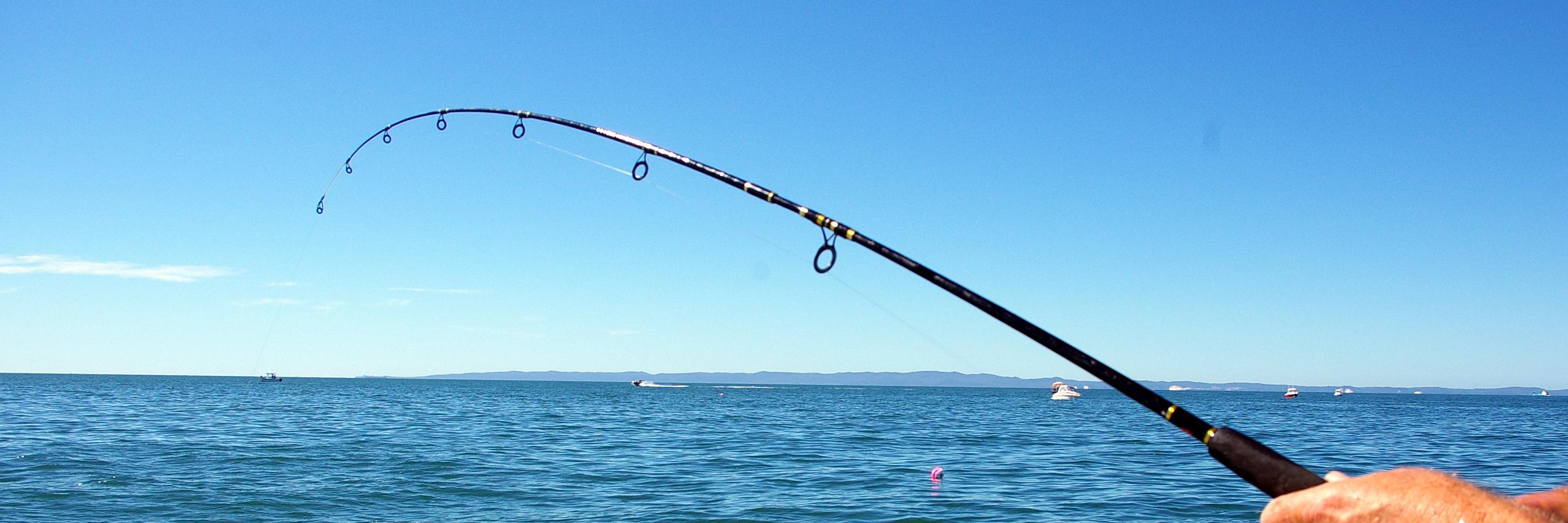 fishungryd's profile banner image