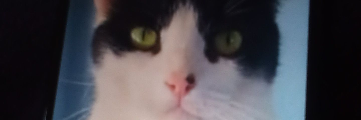 Kayzee1000's profile banner image