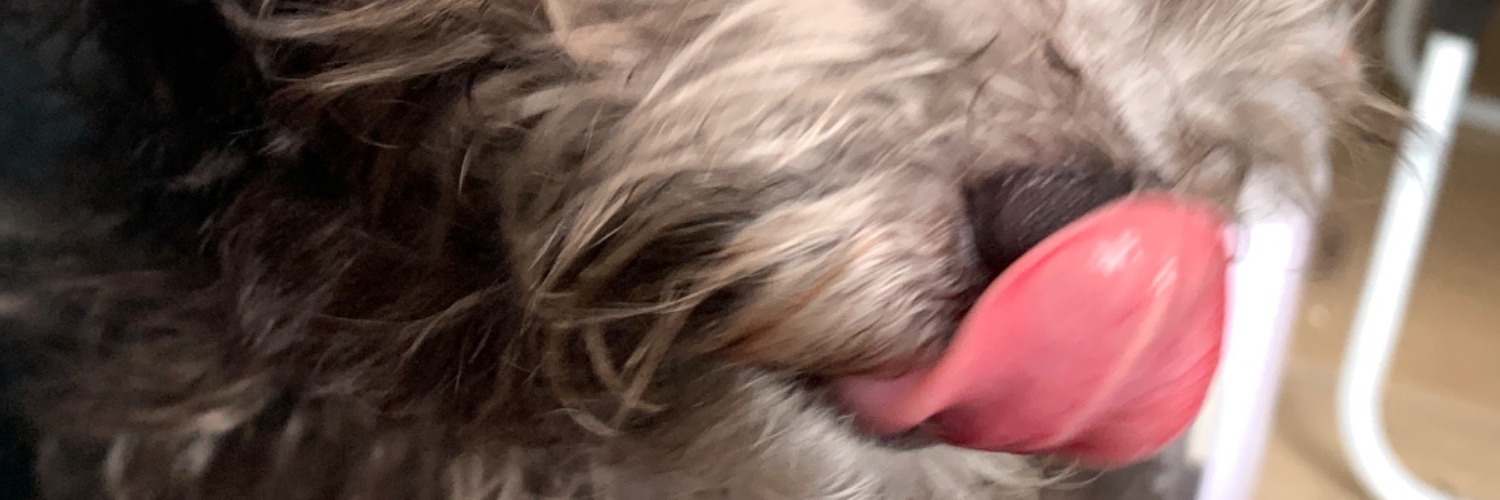 dndnnmrptrn's profile banner image