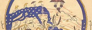 د. رجا بنت علي بن الامام الحسن بن علي الإِدْرِيسي banner
