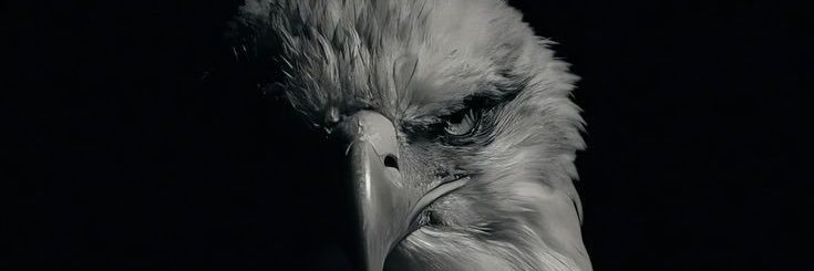 Maykonf_0's profile banner image