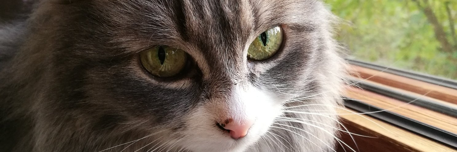 tyhtila's profile banner image
