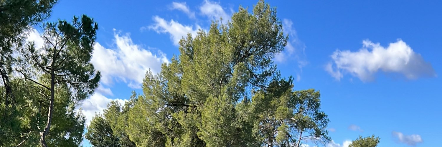 curromoreno8's profile banner image
