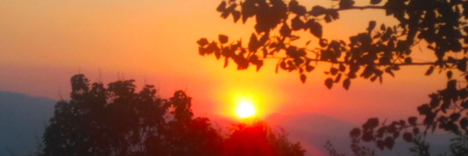 TurkcanDerya's profile banner image