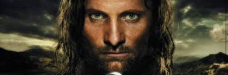 Frodo of the Shire banner