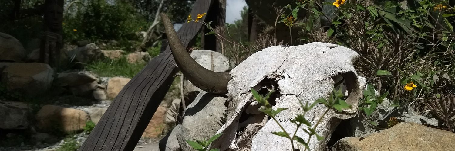 _AOjeda's profile banner image