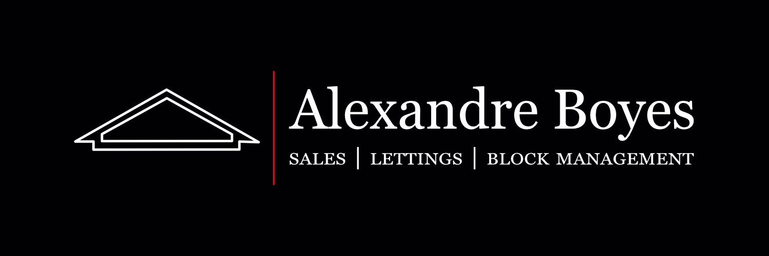 Alexandre Boyes banner