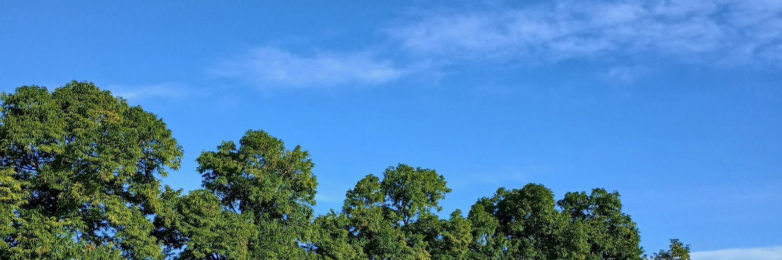 AnggardaEka's profile banner image