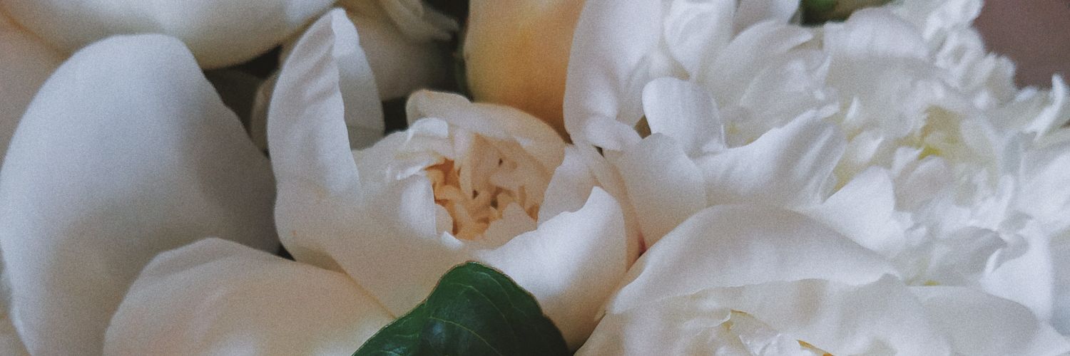 Owl_cheesecake's profile banner image