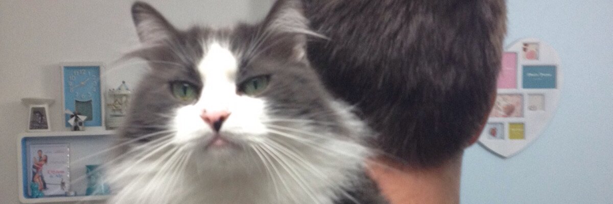 eryank's profile banner image