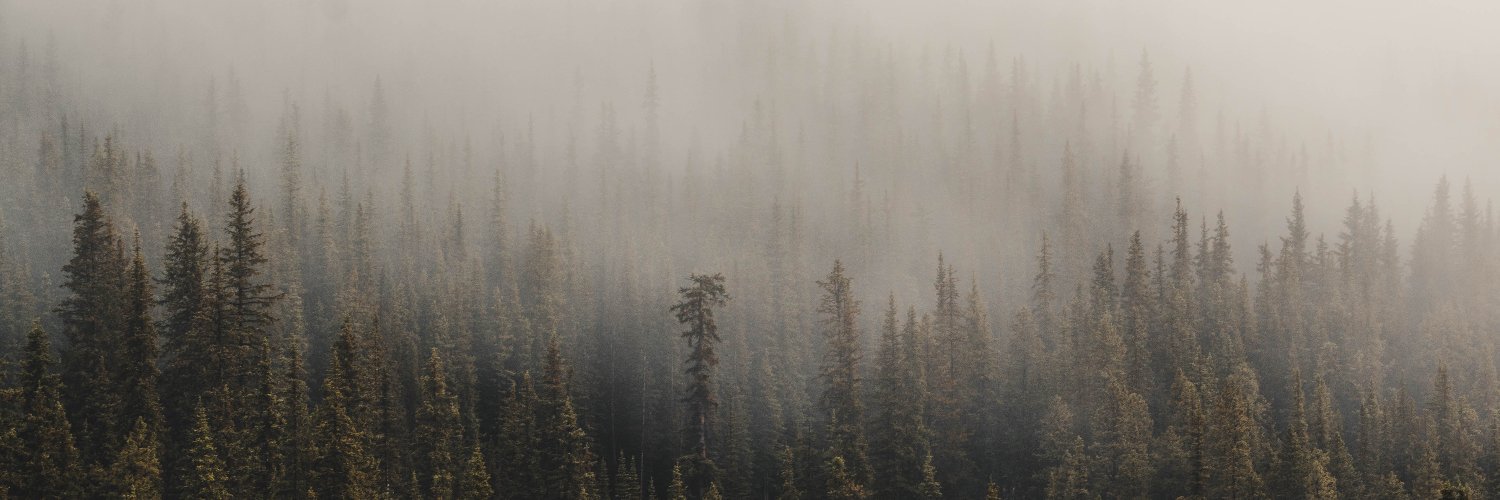 𝖔𝖋𝖋𝖎𝖈𝖊 𝖋𝖊𝖗𝖆𝖑 🌲 banner