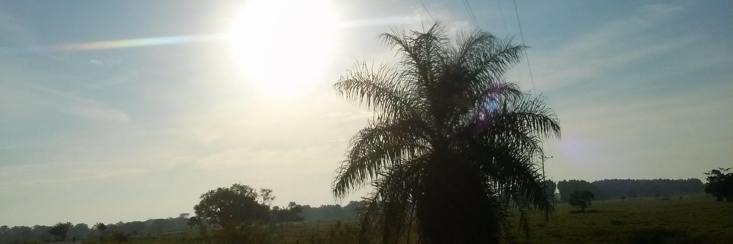 luisafer662's profile banner image