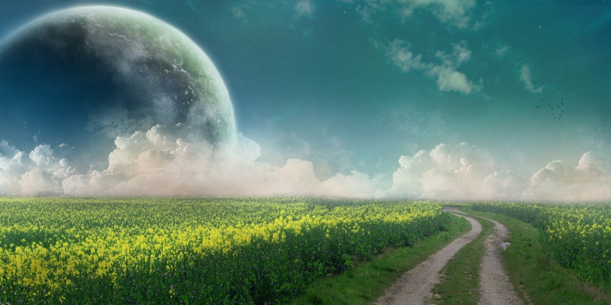 aravekhalid's profile banner image