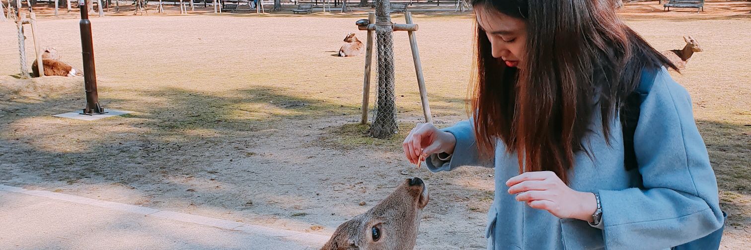 มายตาโตววว 🌻🐔 banner