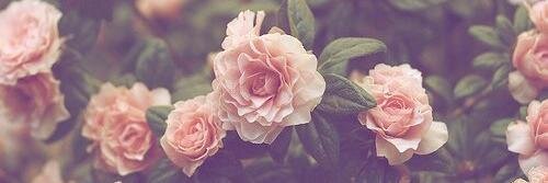 ItsEmmaMarie's profile banner image