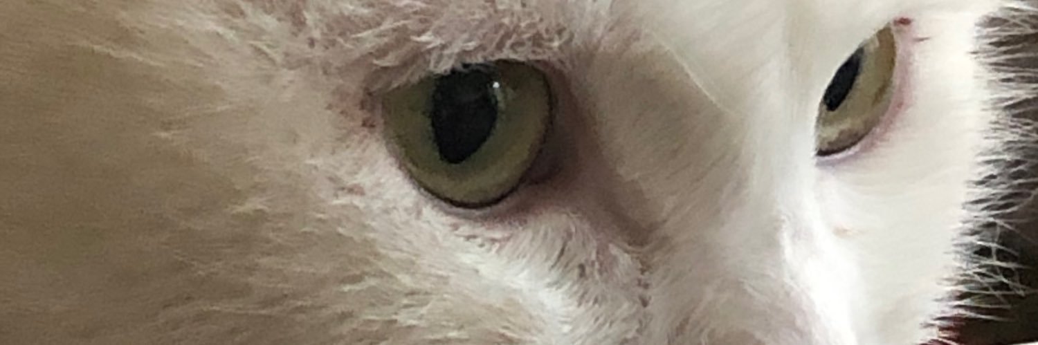 MotogpLane's profile banner image