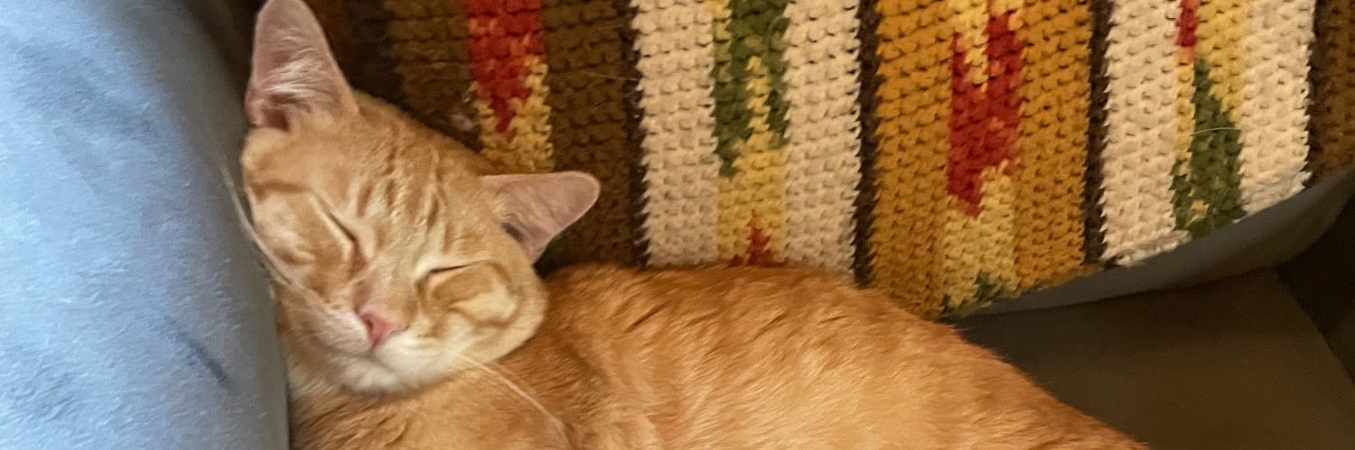 vowels_kat's profile banner image