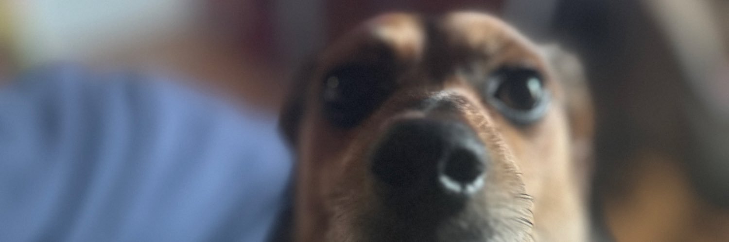 possibly_joe3's profile banner image