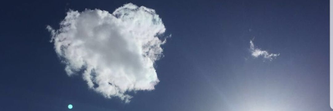 thebeeeks's profile banner image