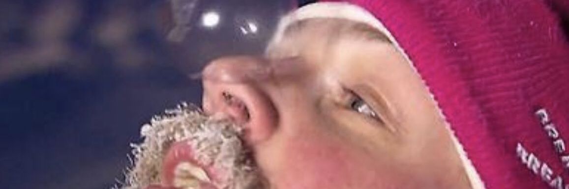 Cooler than you lll banner