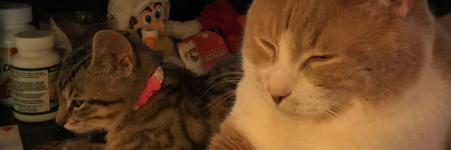 my_catdexter's profile banner image