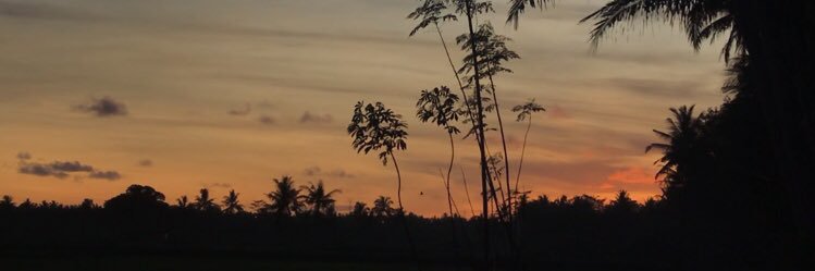 desintads's profile banner image
