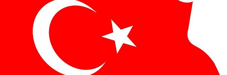 tg89906's profile banner image