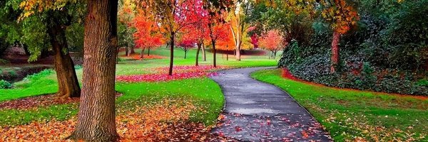 LagiTravel Profile Banner