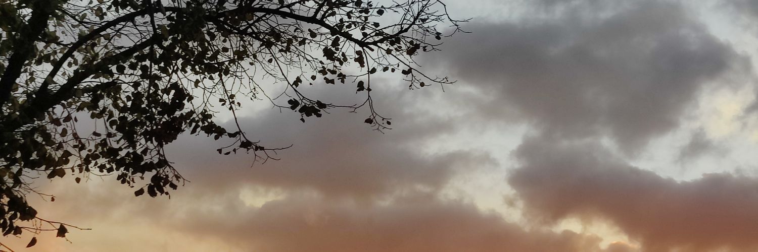 Rickyjmnz8's profile banner image