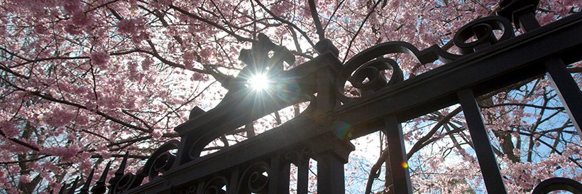 Harvard University's banner