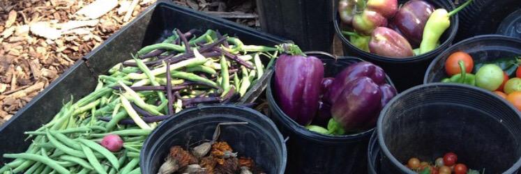 MontclairFarms's profile banner image