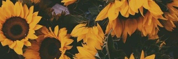 _Dadds's profile banner image