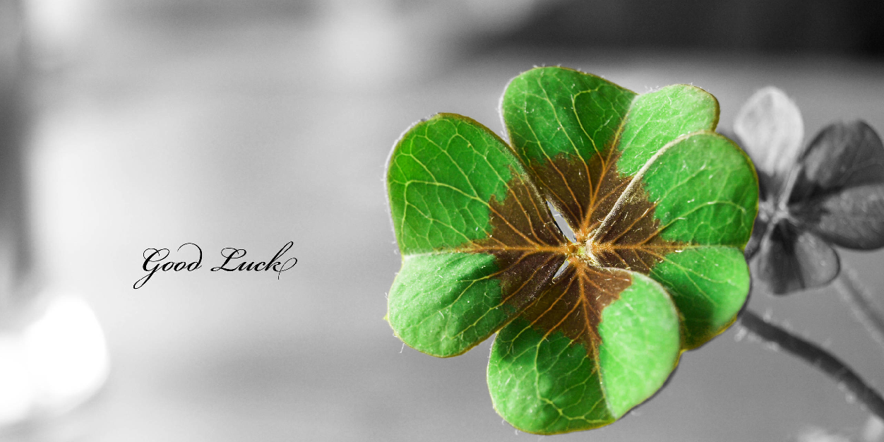 Lugongal's profile banner image