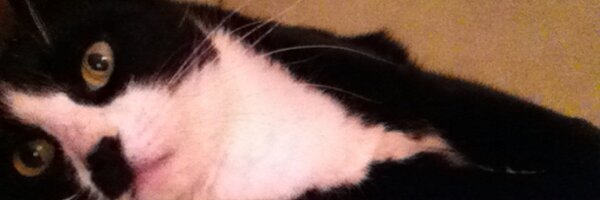 em_dash3 Profile Banner