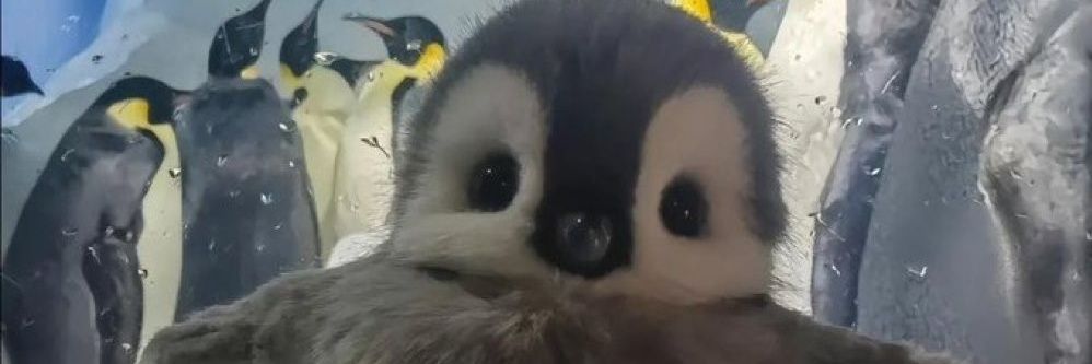 RogerBS3's profile banner image