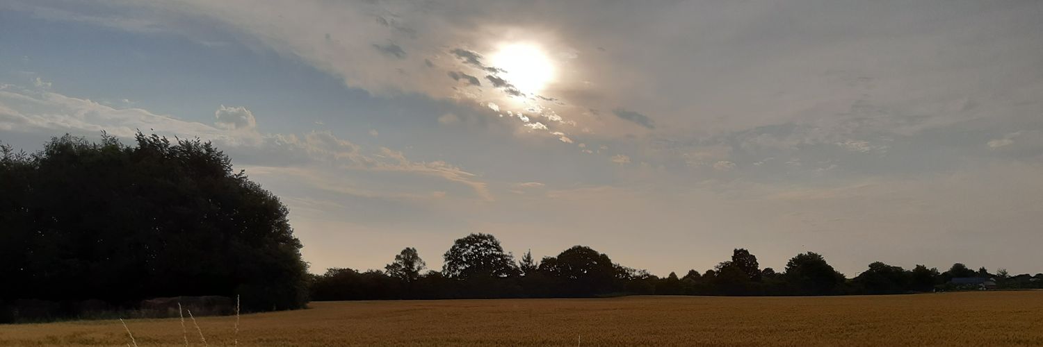 CJBridge's profile banner image