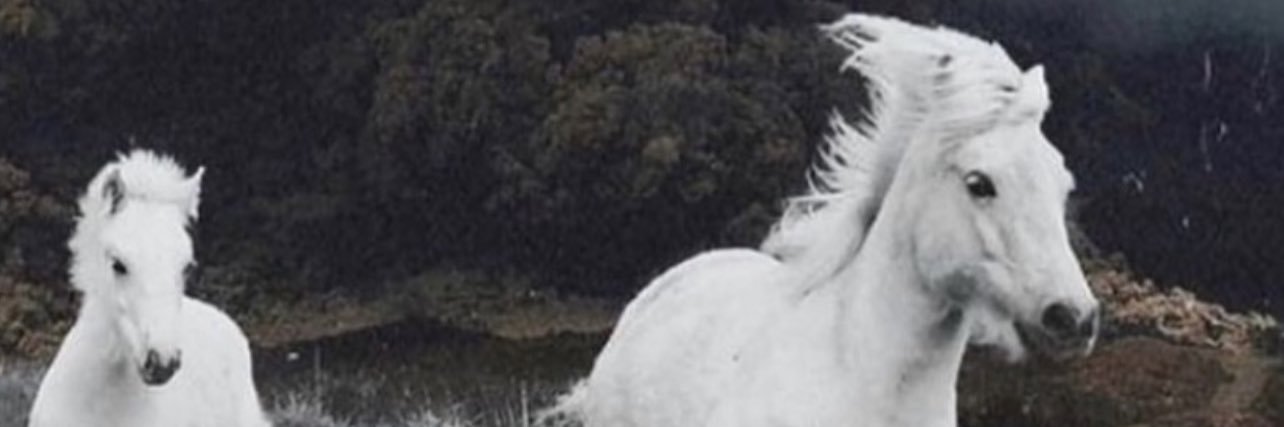ad__venturer's profile banner image
