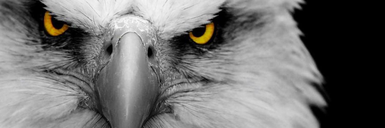 dgnkrtl's profile banner image