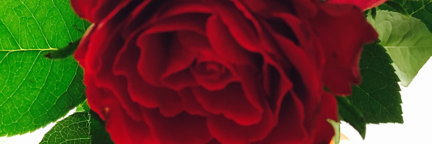 oyananas's profile banner image