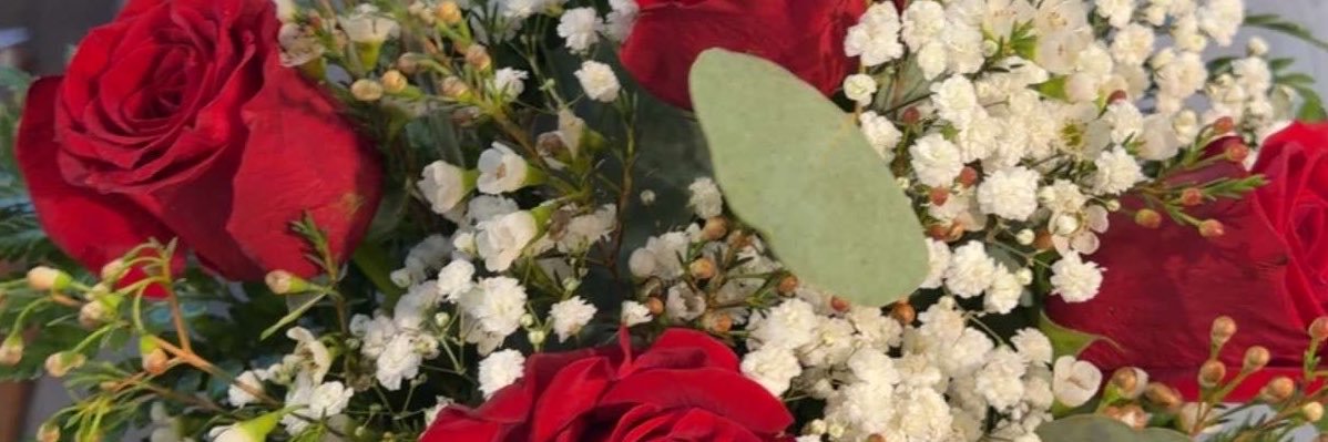 MadisonDCarlson's profile banner image