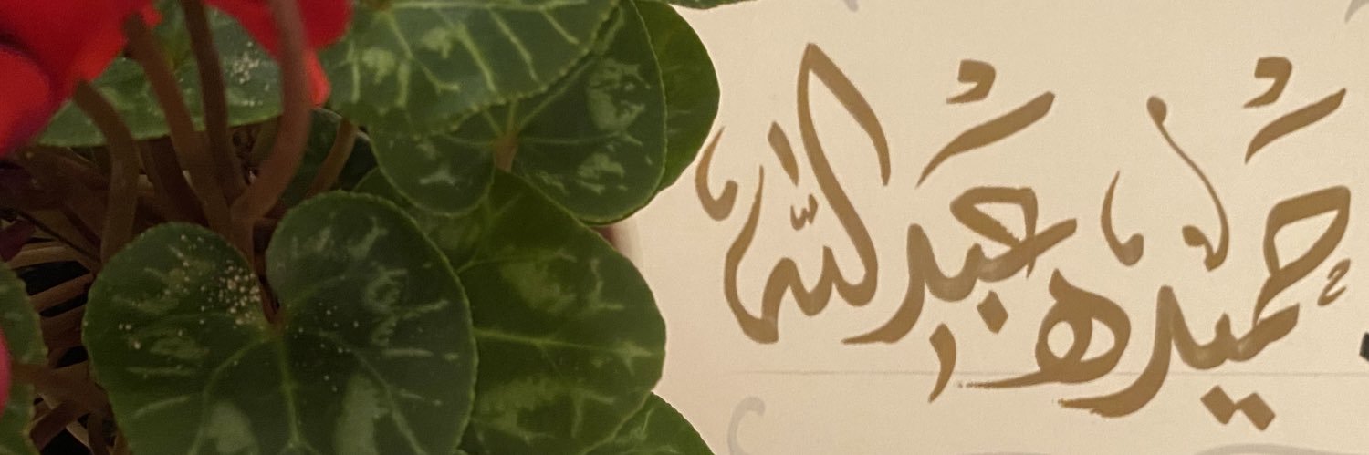hamidh3's profile banner image