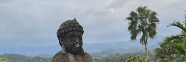 dingleja Profile Banner